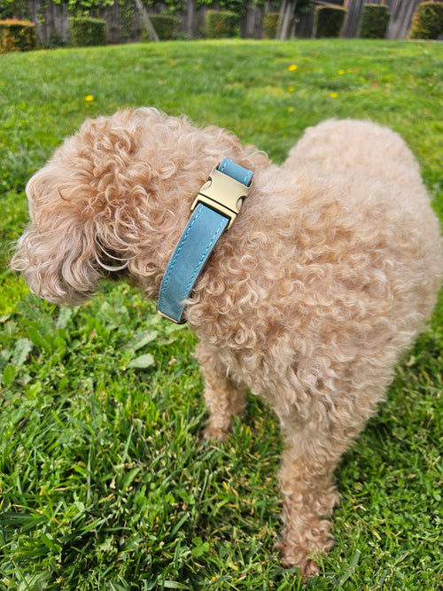 Dog Leather Collar
