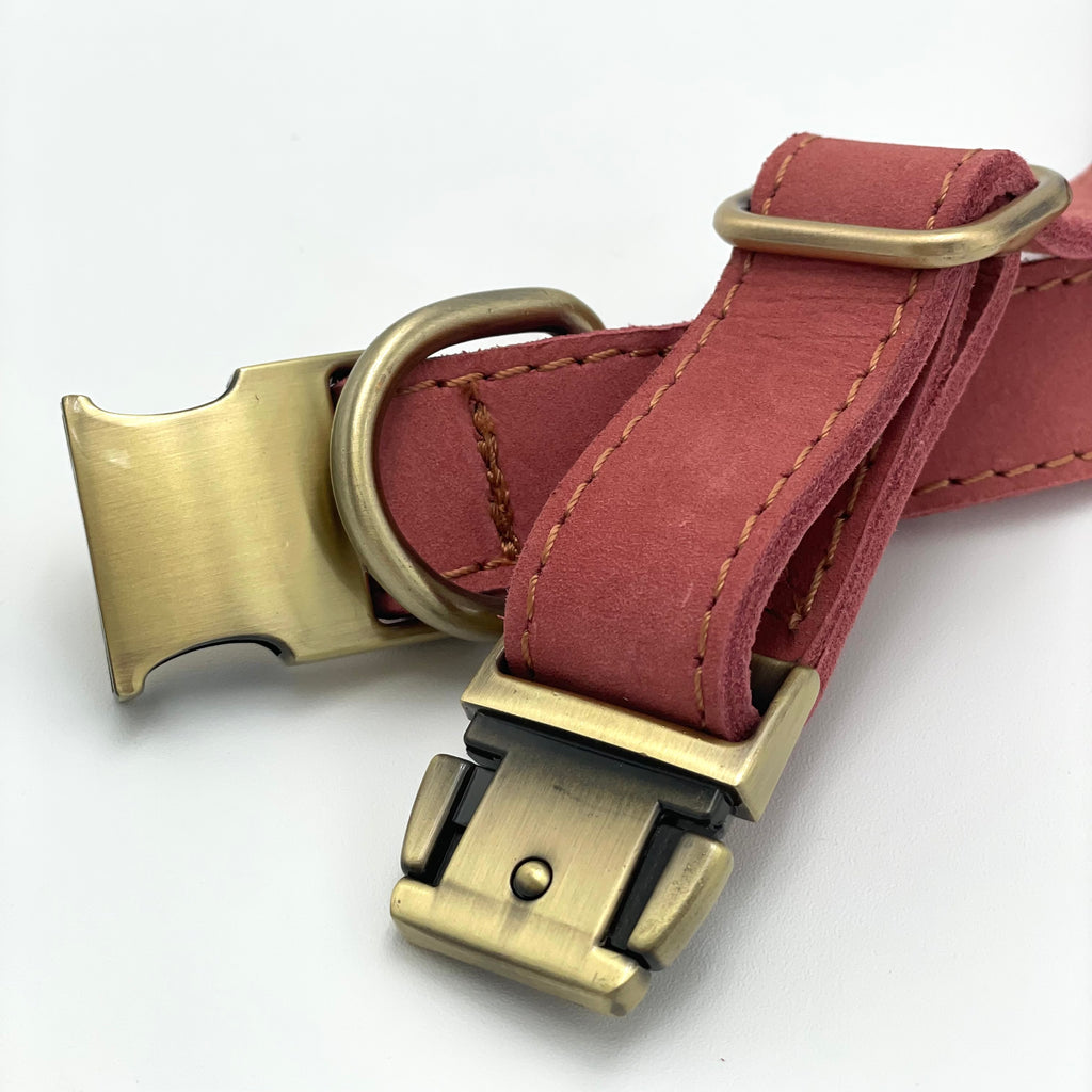 Dog Leather Collar
