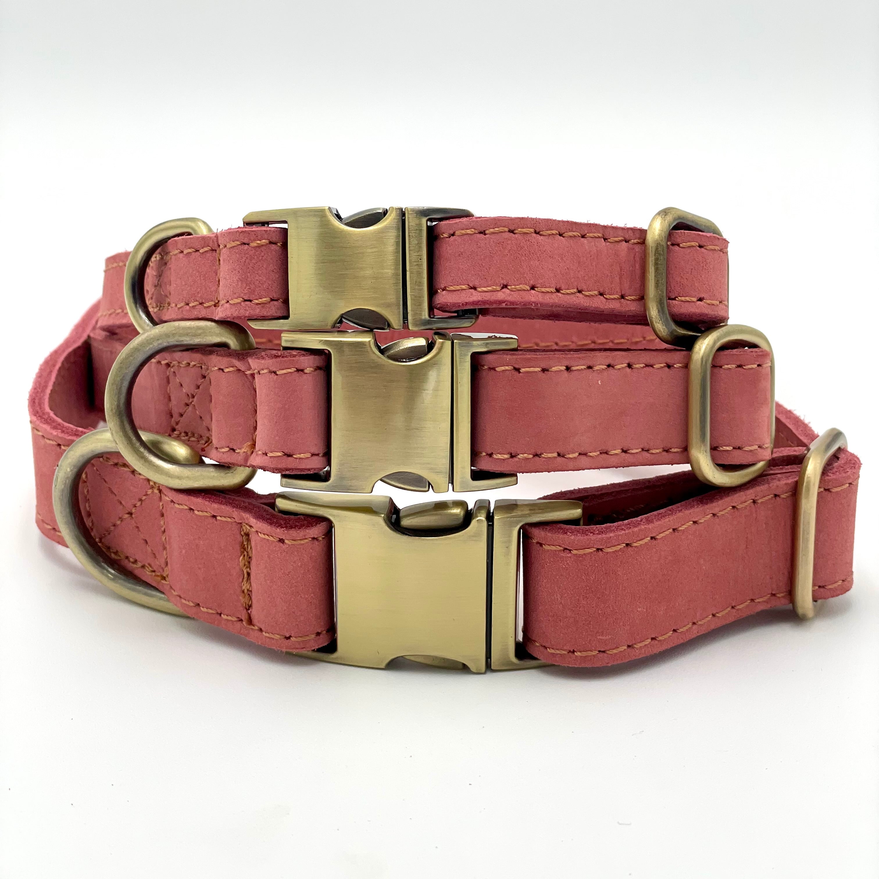 Dog Leather Collar
